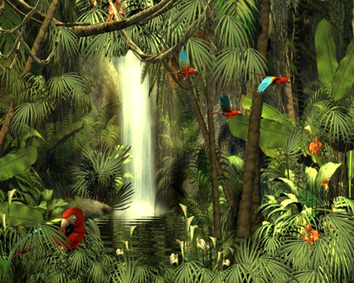 3D Rain Forest Adventure